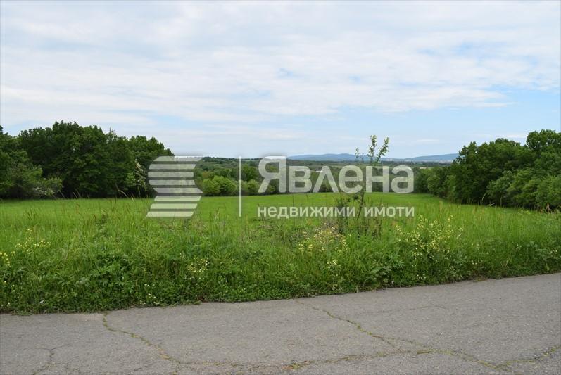 лице на асфалтовия път