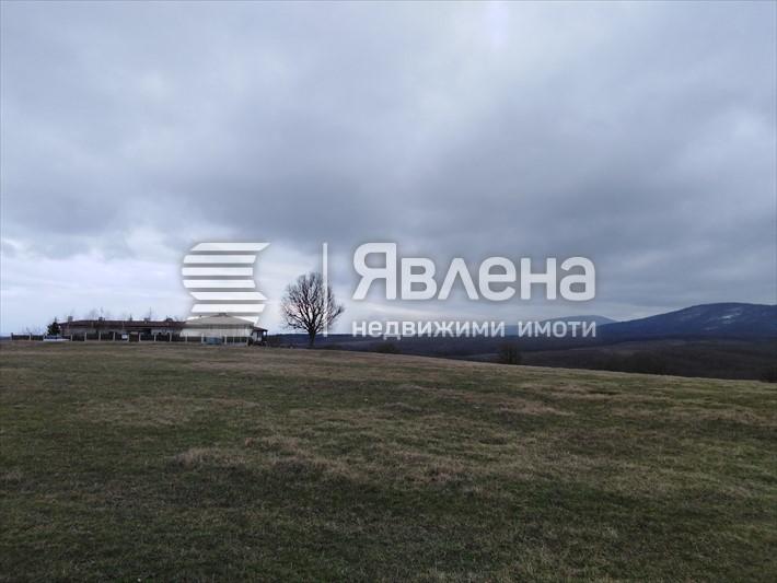 нива