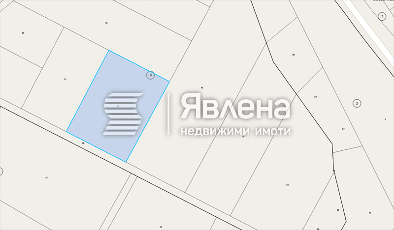 Балевица