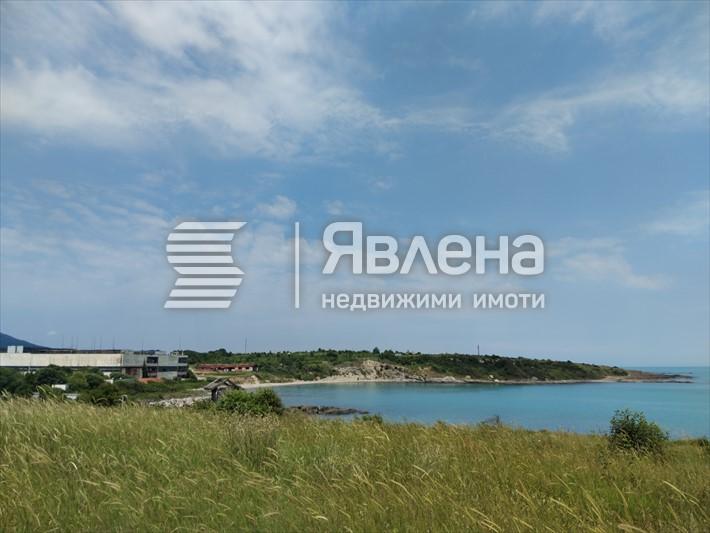 залив