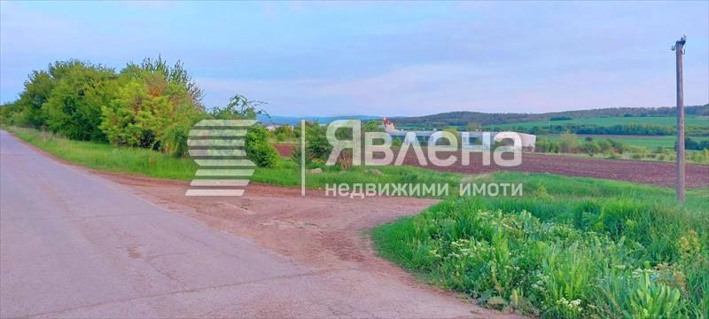 парцел