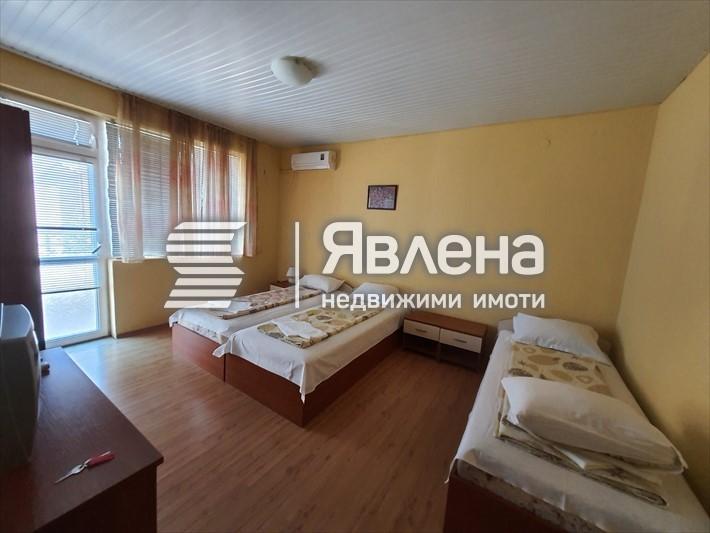 стая