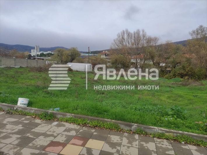 лице