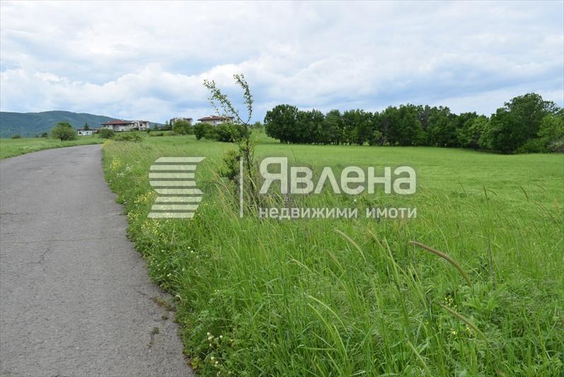 лице на асф.път