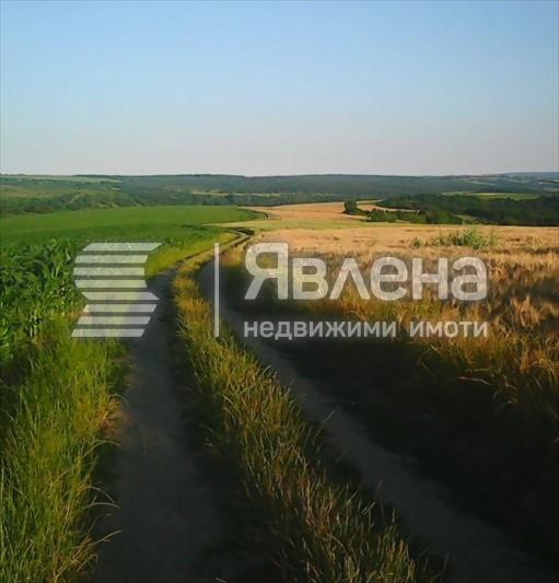 гледка