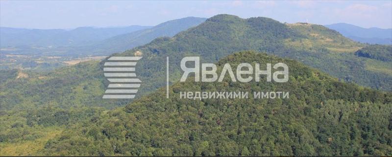 Балкан