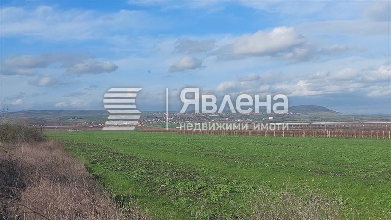 панорама