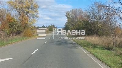 лице