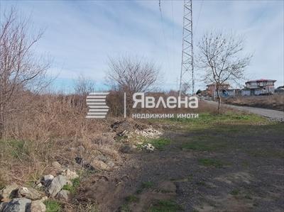 лице