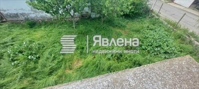 двор
