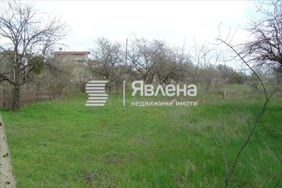 Двор