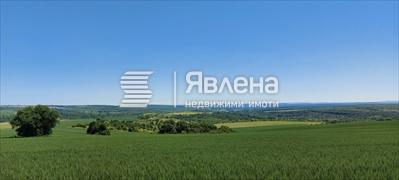 гледка