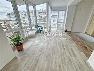 стая
