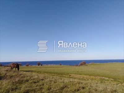 имот