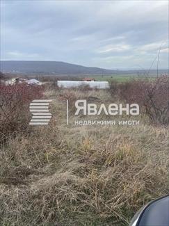 рогачево