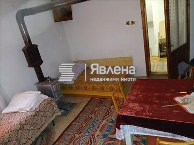 стая