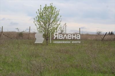 парцел