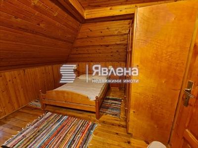 стая