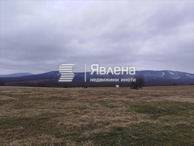 нива