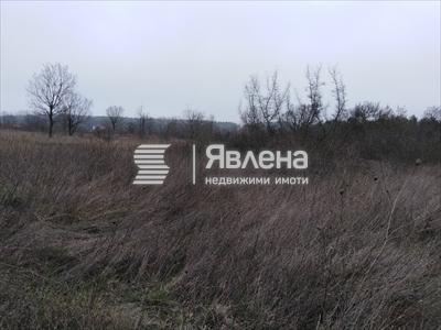 парцел