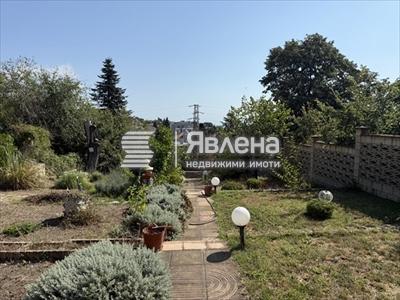 двор