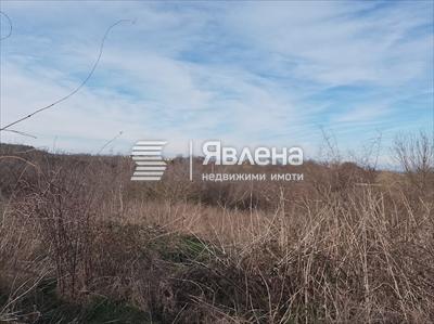 парцел