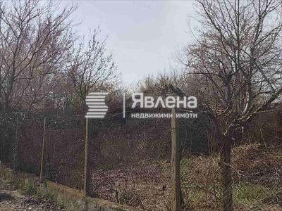 имот