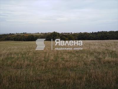 нива