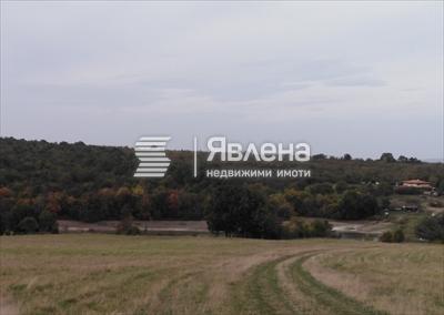 микроязовир в близост