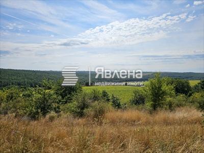 гледка