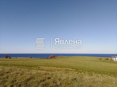 имот
