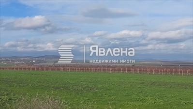 панорама
