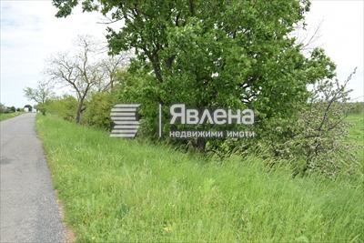нива