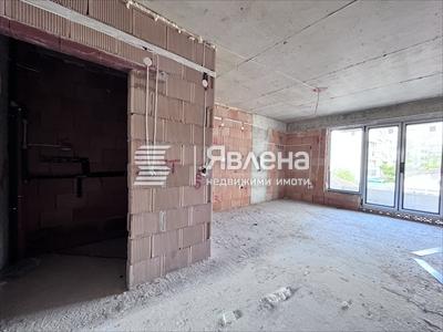 Стая