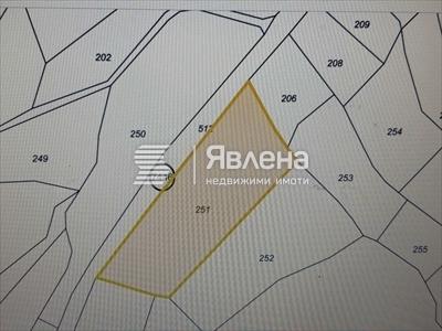 скица