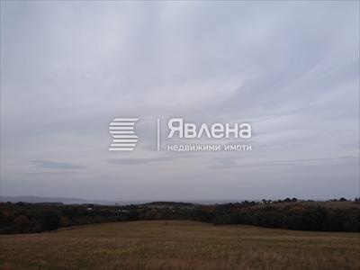 гледка