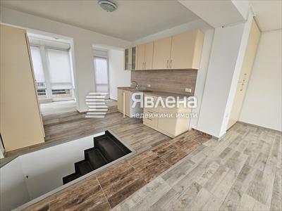 стая