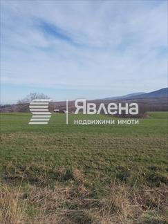 нива
